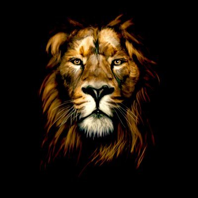 rafthefirst's profile picture. 