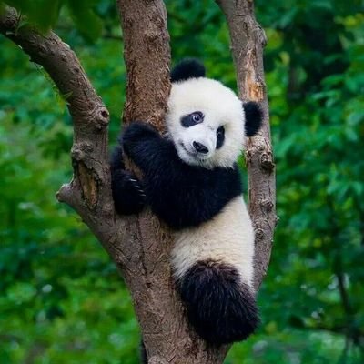 pi7cld's profile picture. ただのつぶやきです