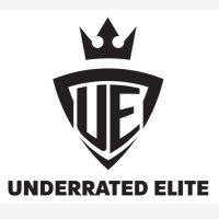 Underrated Elite MI (@underratedelite) 's Twitter Profile