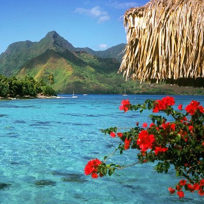 mste09617's profile picture. 