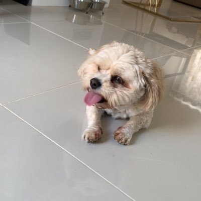 HeyItsJxmes's profile picture. #MUFC