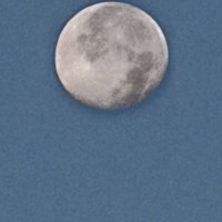 AL_TER_ILO_COS (@ilo_cos) 's Twitter Profile
