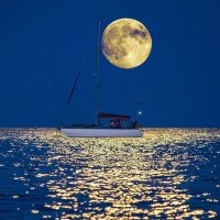 alex747 (@alex7471) 's Twitter Profile