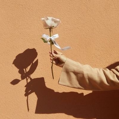 lailaabdelkader's profile picture. lntern doctor at MUH