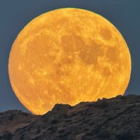 AbejaRuca (@abejaruc) 's Twitter Profile