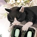 225さんのプロフィール画像