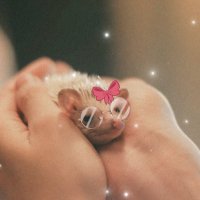 🍸กระจิบขอตัวชิ่งก่อน🍑🐯 (@chom_pooooo) 's Twitter Profile