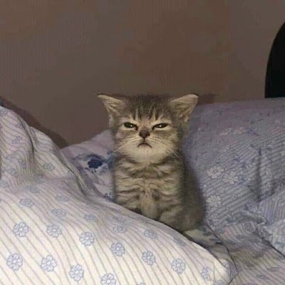 minhpha22014245's profile picture. 