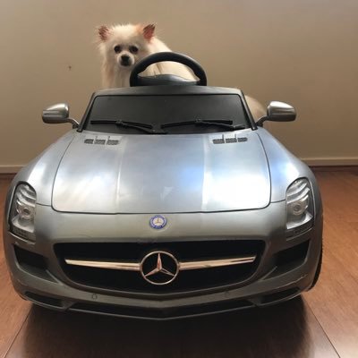xjpx888's profile picture. Humble servant to the RNG gods.