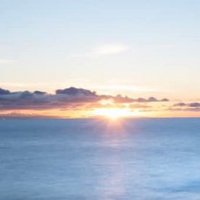 Brigid C (@brigidpc1) 's Twitter Profile