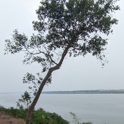 phamduchieu2009's profile picture. My old account (@phamducquy2009) was locked. This is my new account.
I'm in Hanoi, Vietnam