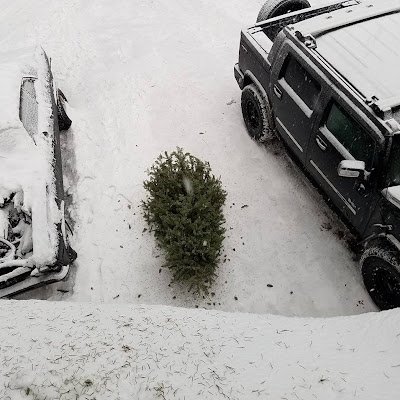 AdolfCather's profile picture. 