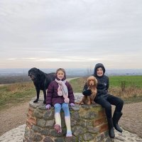 Stuart Butler (@butsag1) 's Twitter Profile