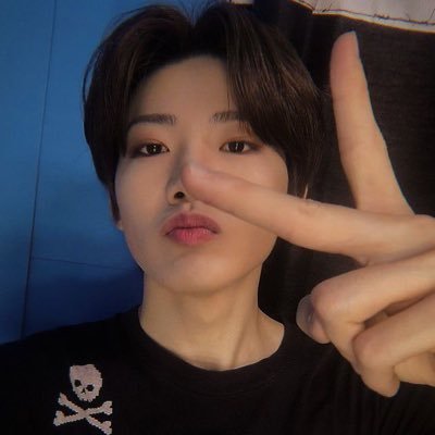 teukyu99's profile picture. 💎 | 🛬📸 | 2ndGen-Multi-stan ✨