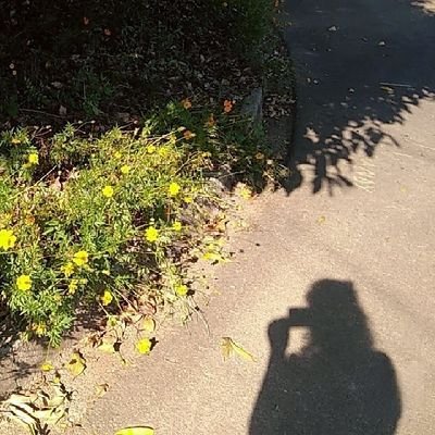 Vanessa_Mourar's profile picture. Life Goes On