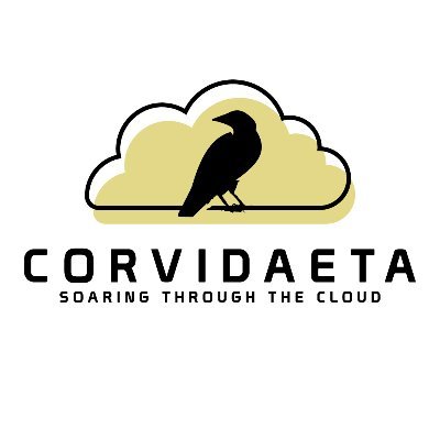 Official twitter account for Corvidaeta ᛫ Web hosting ᛫ Game servers ᛫ Human support