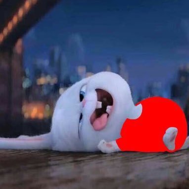 จางแรบบิทさんのプロフィール画像