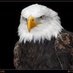 Eagle 🦅W (@Vksifi291) Twitter profile photo