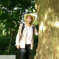 Roadrunner (@juliomoguelyan) 's Twitter Profile