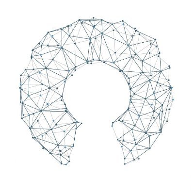 openswarm_eu Profile Picture