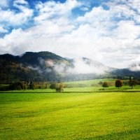 Potramba Petru (@p_potramba) 's Twitter Profile