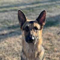 Hunter Frakes (@frostedfrakes3) 's Twitter Profile