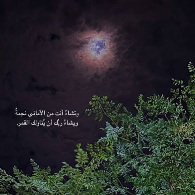 alialroijhy's profile picture. 