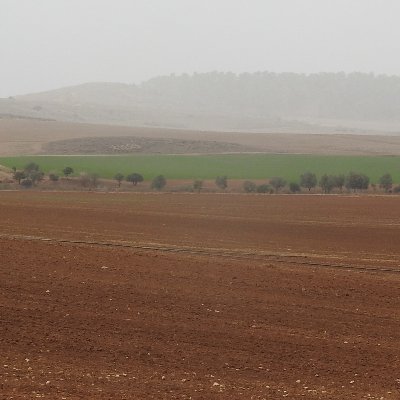 hm541208's profile picture. אין לי ארץ אחרת