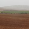hm541208's profile picture. אין לי ארץ אחרת
