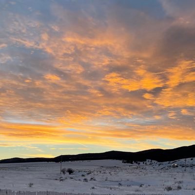 Travass91's profile picture. 