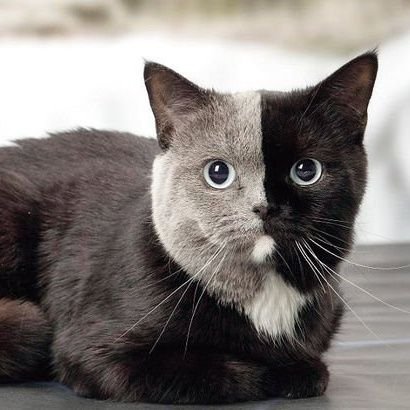 feg_arthitect's profile picture. Arthitect