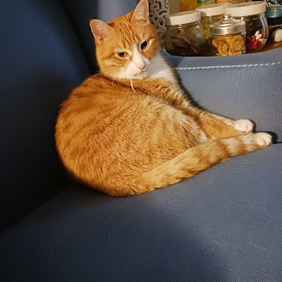lewmcquirns's profile picture.