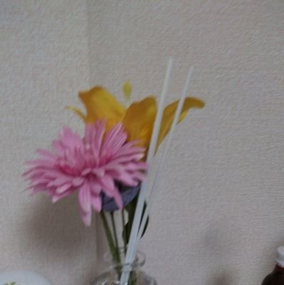 aquarius_taian's profile picture. 