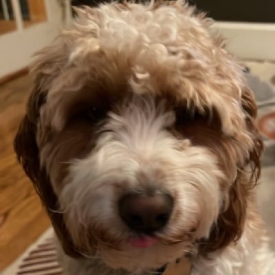 GuidishTimothy's profile picture. New Hampshire Advocacy Co-Chair for the Cystic Fibrosis Foundation