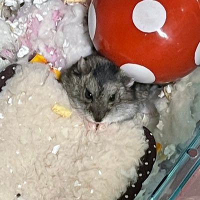 Loveai0528's profile picture. 皆さん､宜しくお願いします(*^^*)