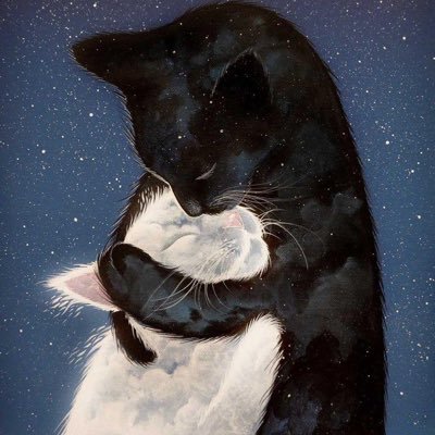 6Prof9's profile picture. لا تقلق