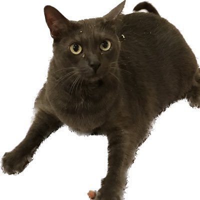 LauraMe23936646's profile picture. 