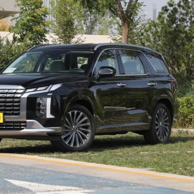 zym2022's profile picture. 家有肥猪，又大又圆又耐干