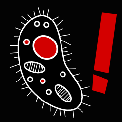 NothingInBio's profile picture. Nothing in biology makes sense! Except in the light of evolution.