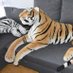 Tiger on Sofa (@tiger_on_sofa) Twitter profile photo Tiger on Sofa (@tiger_on_sofa) Twitter profile photo