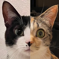 mg (@ranmuu_) 's Twitter Profile Photo mg (@ranmuu_) 's Twitter Profile Photo