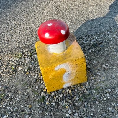 uhBvnny's profile picture. 🌱🐝 | nail tech 💅| -furr specialized-