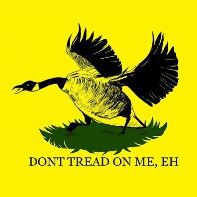 🇨🇦I Just Like Freedom 🇺🇸 | “In A World Of Propaganda, The Truth Is Always A Conspiracy” | Let’s Go Brandon! | 🚛 Honk 🚚 Honk 🚛