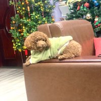 Daniel Maverick Brown (@kpherix) 's Twitter Profile