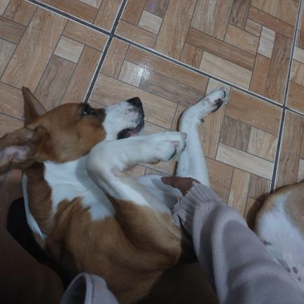 NezukoNezuk's profile picture. 