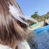 きょう (@k____k42) Twitter profile photo