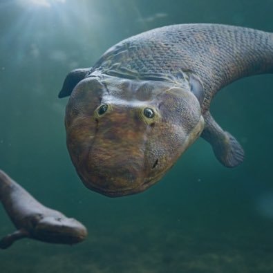 DevonianResort's profile picture. Devonian Resort!