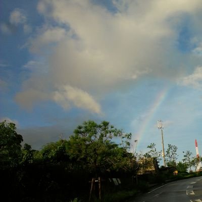 kamakirikenpowo's profile picture. 社員番号3626 カマキリ拳法から改名しました。ほとんどリツイートのみで見るだけ専門です。よろしくお願いします。