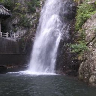 biteuking's profile picture. 