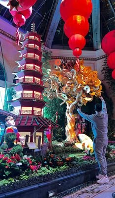 luisferca787's profile picture. Antiuribista por conocimiento de causa! 
Inmigrante.